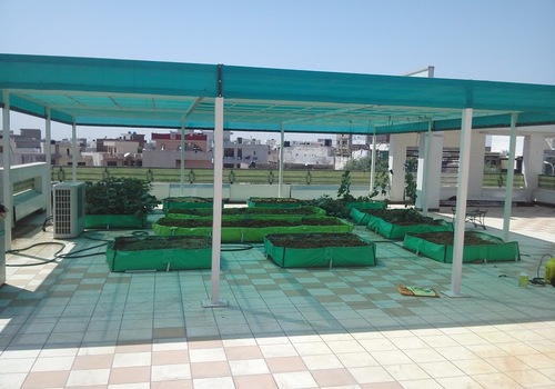 Terrace Garden Services Provider in Noida